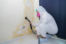 Why You Should Choose Our Mold Remediation Services in Cochran, GA